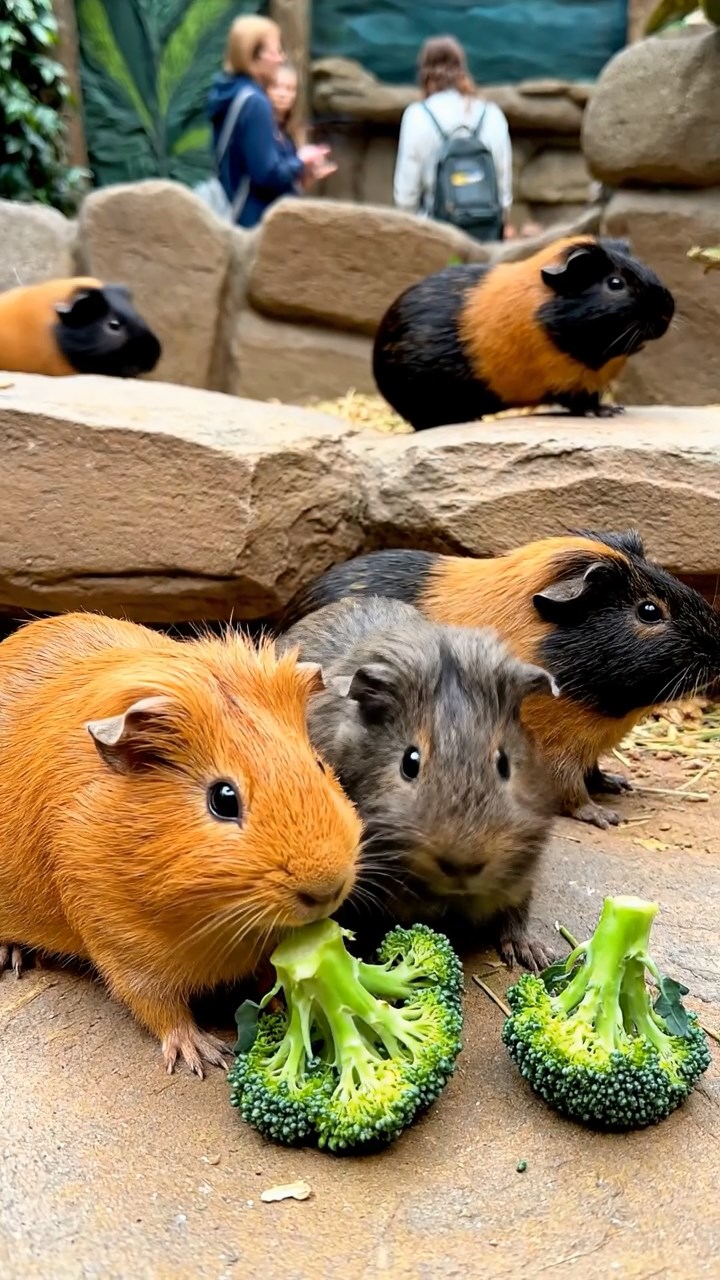 623. Highly detailed view of 3 smooth-haired Himalayan guinea pigs with Gray, Cream, and Brown fur, mating in a secluded grassy clearing surrounded by tall ferns and soft moss, under gentle morning light, creating a realistic, intimate natural scene.