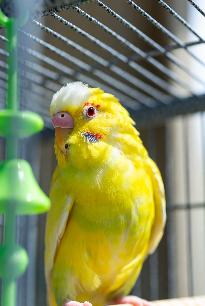 f50463d1-9a0c-43c8-b004-5f345a49f440